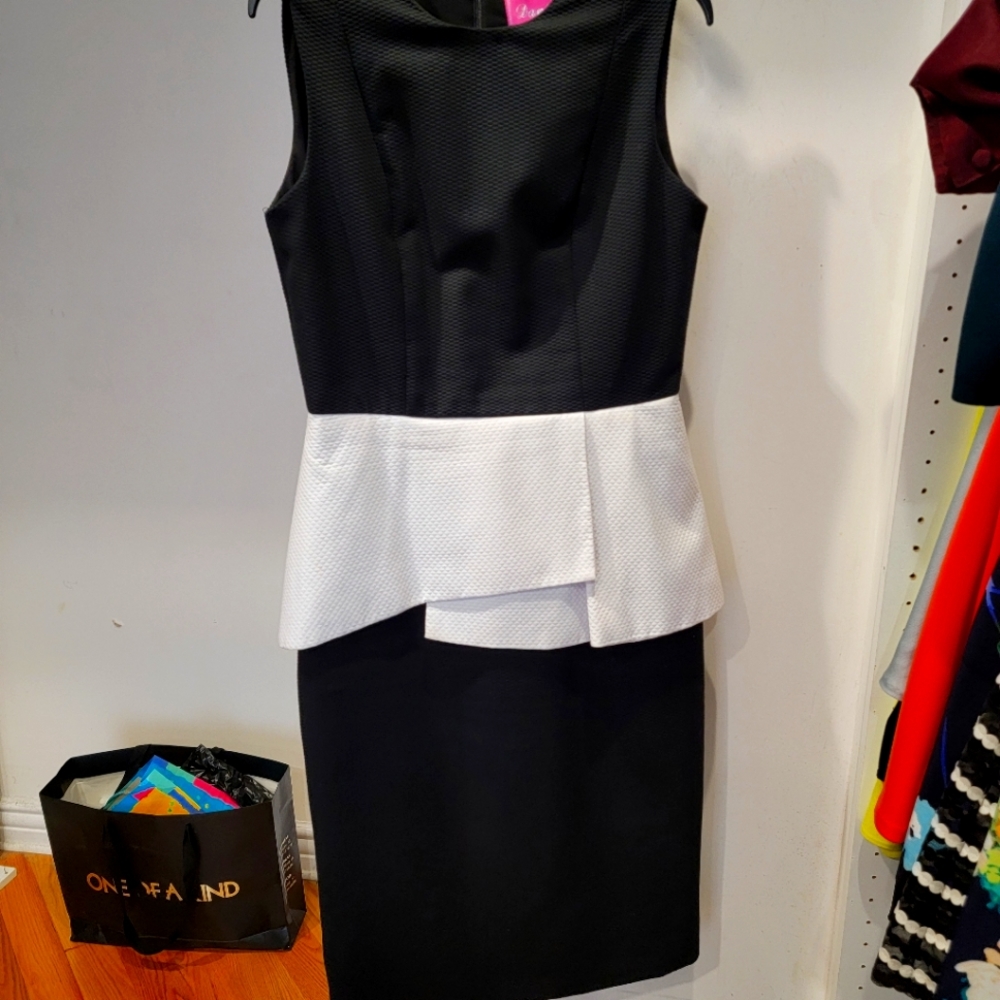 Retro black and white poplin dress